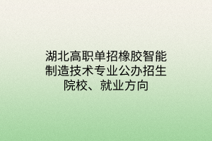湖北高職單招橡膠智能制造技術(shù)專業(yè)公辦招生院校、就業(yè)方向
