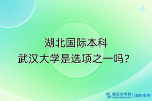 湖北國(guó)際本科，武漢大學(xué)是選項(xiàng)之一嗎？