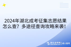 2024年湖北成考征集志愿結(jié)果怎么查？多途徑查詢攻略來襲！