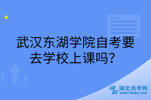 武漢東湖學(xué)院自考要去學(xué)校上課嗎？