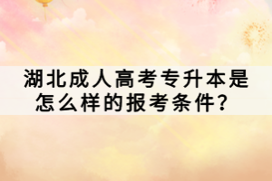 湖北成人高考專升本是怎么樣的報(bào)考條件？