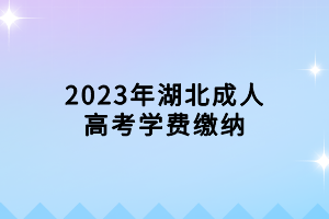 2023年湖北成人高考學(xué)費繳納