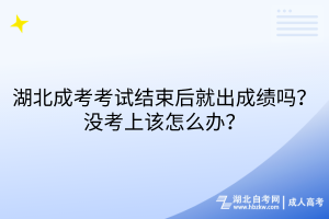 湖北成考考試結(jié)束后就出成績嗎？沒考上該怎么辦？