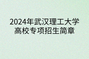 2024年武漢理工大學(xué)高校專項(xiàng)計劃招生簡章