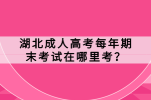 湖北成人高考每年期末考試在哪里考？