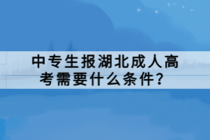 中專生報湖北成人高考需要什么條件？