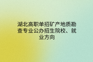 湖北高職單招礦產(chǎn)地質(zhì)勘查專業(yè)公辦招生院校、就業(yè)方向