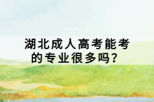 湖北成人高考能考的專(zhuān)業(yè)很多嗎？