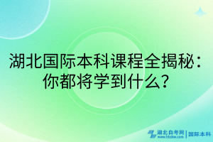 湖北國際本科課程全揭秘：你都將學(xué)到什么？