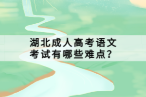 湖北成人高考語文考試有哪些難點？