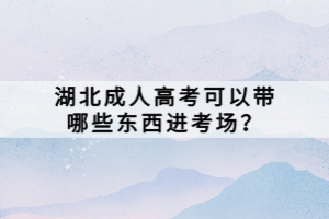 湖北成人高考可以帶哪些東西進考場？