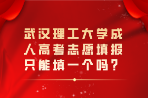 武漢理工大學成人高考志愿填報只能填一個嗎？