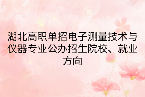 湖北高職單招電子測(cè)量技術(shù)與儀器專業(yè)公辦招生院校、就業(yè)方向