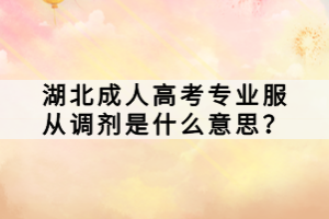 湖北成人高考專業(yè)服從調(diào)劑是什么意思？