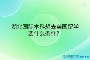 湖北國際本科想去美國留學(xué)要什么條件？