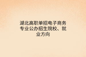 湖北高職單招電子商務(wù)專業(yè)公辦招生院校、就業(yè)方向