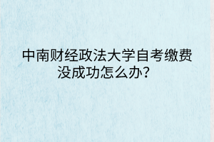 中南財(cái)經(jīng)政法大學(xué)自考繳費(fèi)沒(méi)成功怎么辦？