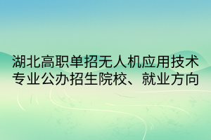 湖北高職單招無人機(jī)應(yīng)用技術(shù)專業(yè)公辦招生院校、就業(yè)方向