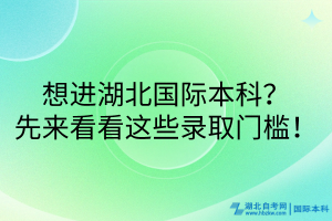 想進(jìn)湖北國際本科？先來看看這些錄取門檻！