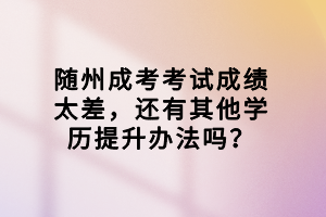 隨州成考考試成績太差，還有其他學(xué)歷提升辦法嗎？
