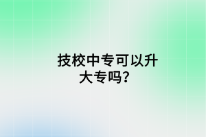 技校中?？梢陨髮?？
