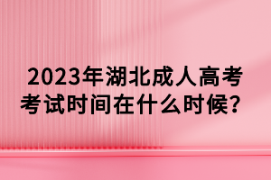 2023年湖北成人高考考試時間在什么時候？