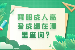 襄陽成人高考成績在哪里查詢？
