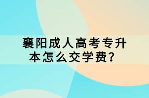 襄陽成人高考專升本怎么交學(xué)費(fèi)？