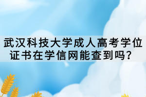武漢科技大學(xué)成人高考學(xué)位證書在學(xué)信網(wǎng)能查到嗎？