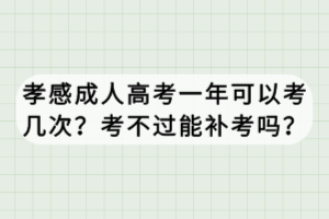 孝感成人高考一年可以考幾次？考不過能補考嗎？