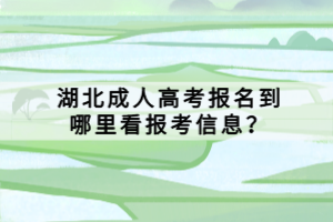 湖北成人高考報名到哪里看報考信息？