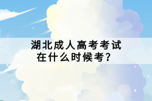 湖北成人高考考試在什么時候考？