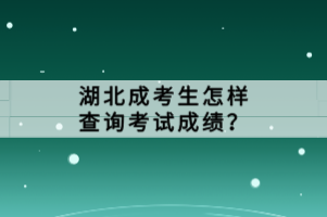 湖北成考生怎樣查詢考試成績(jī)？