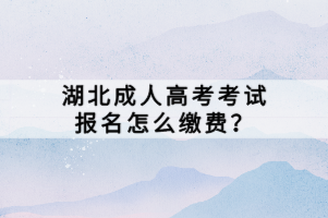 湖北成人高考考試報名怎么繳費？