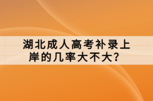 湖北成人高考補(bǔ)錄上岸的幾率大不大？