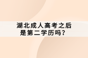 湖北成人高考之后是第二學(xué)歷嗎？