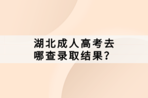 湖北成人高考去哪查錄取結果？