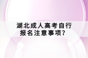 湖北成人高考自行報名注意事項？
