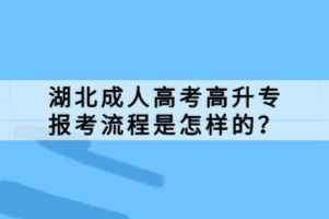 湖北成人高考高升專報(bào)考流程是怎樣的？