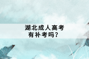湖北成人高考有補(bǔ)考嗎？