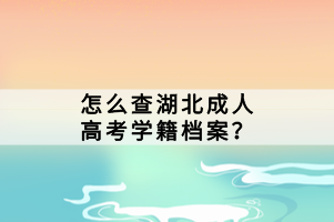 怎么查湖北成人高考學(xué)籍檔案？