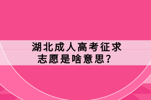 湖北成人高考征求志愿是啥意思？