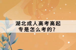 湖北成人高考高起專是怎么考的？