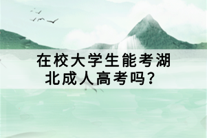 在校大學(xué)生能考湖北成人高考嗎？