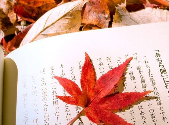2020年成人高考高起專英語(yǔ)練習(xí)題及答案5