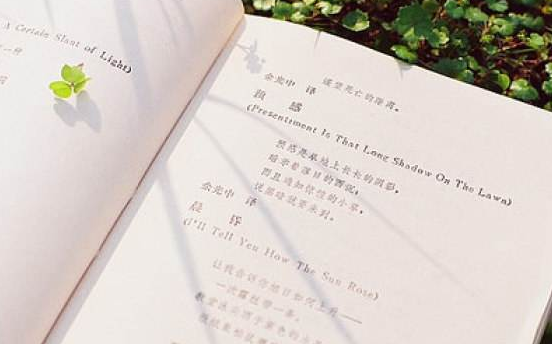 成人高考專(zhuān)升本藝術(shù)概論常考知識(shí)點(diǎn)歸納2：藝術(shù)鑒賞