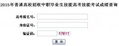 2015年湖北普通高校招收中職畢業(yè)生技能高考技能考試成績查詢入口