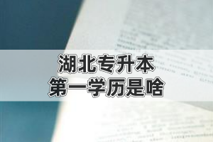 湖北專升本的第一學歷是啥?是本科還是?？?