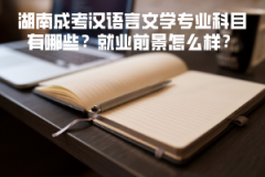 湖南成考漢語(yǔ)言文學(xué)專業(yè)科目有哪些？就業(yè)前景怎么樣？