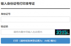 2020年武漢理工大學(xué)成考準(zhǔn)考證打印注意事項(xiàng)